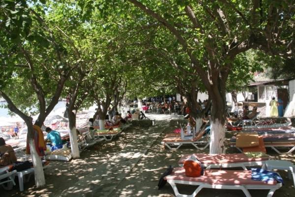 Meteor Beach Hotel Turgutreis Extérieur photo